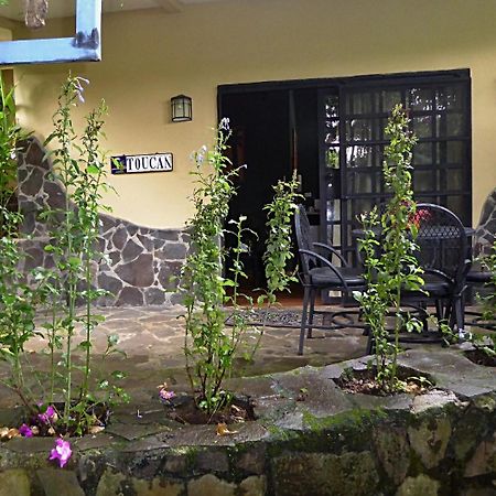 Pura Vida Hotel Alajuela Eksteriør billede