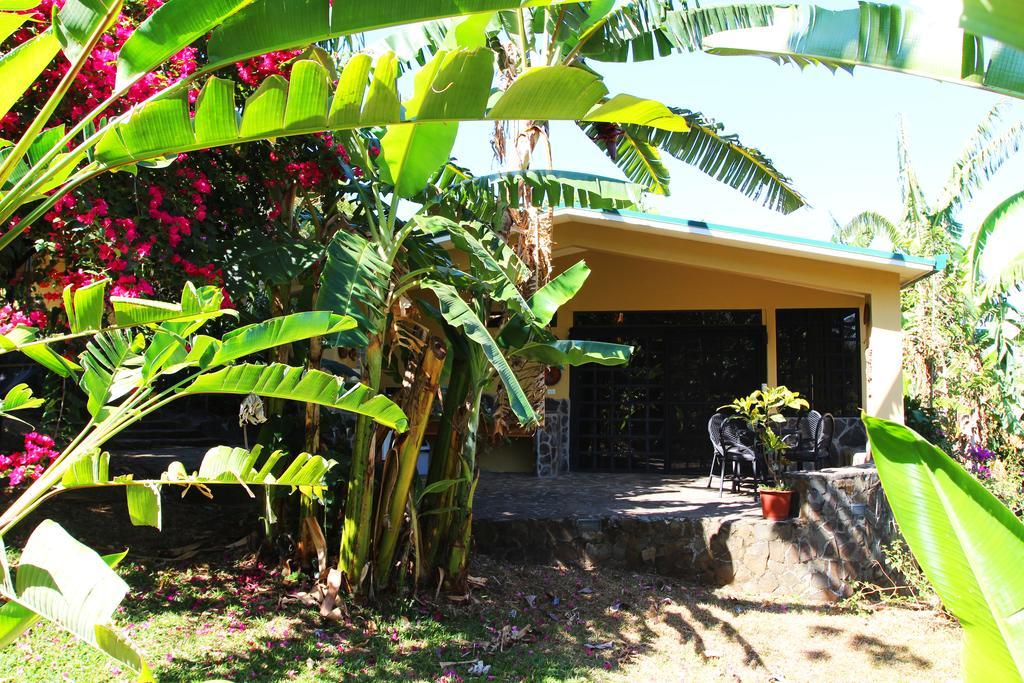 Pura Vida Hotel Alajuela Eksteriør billede