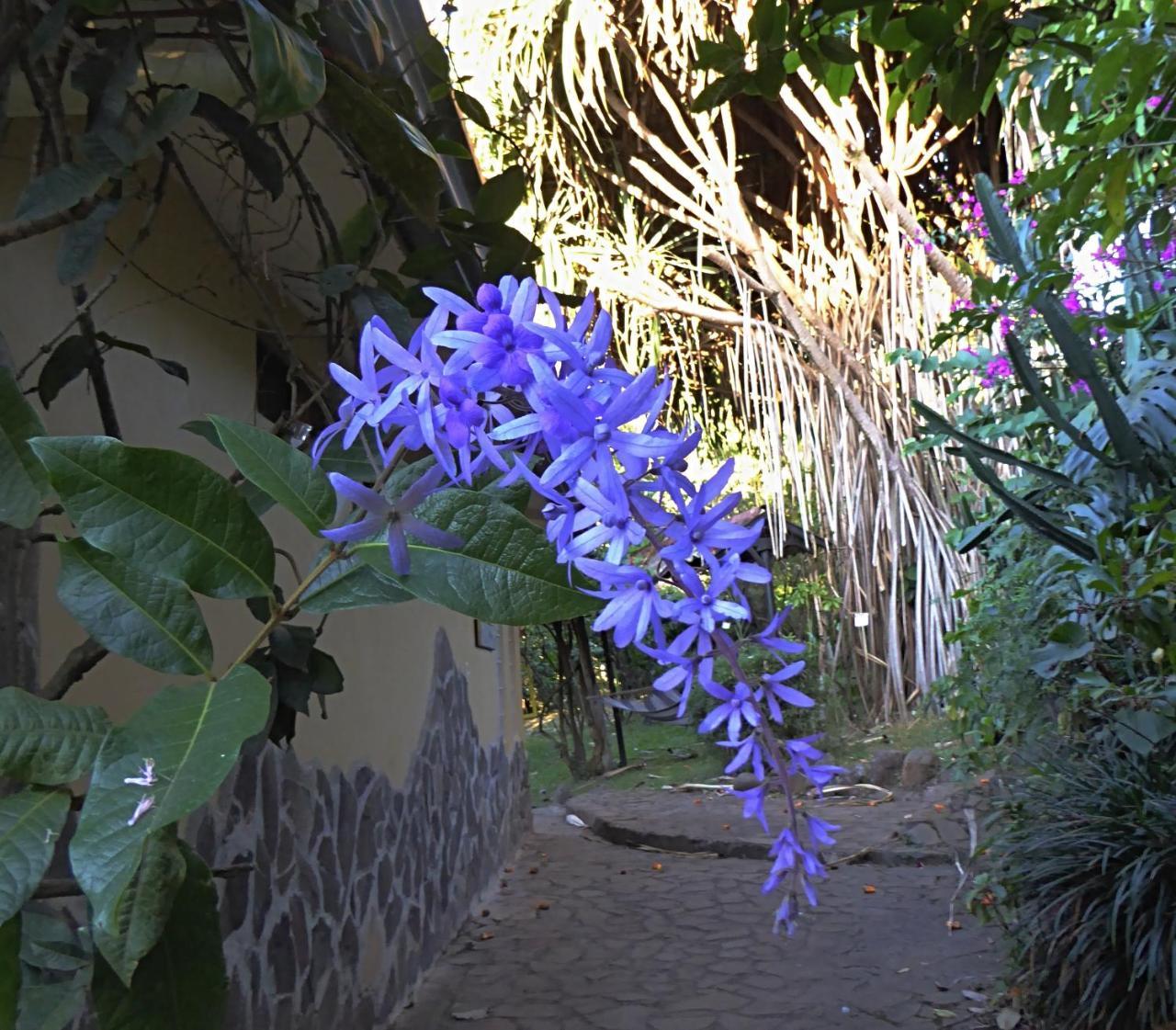 Pura Vida Hotel Alajuela Eksteriør billede